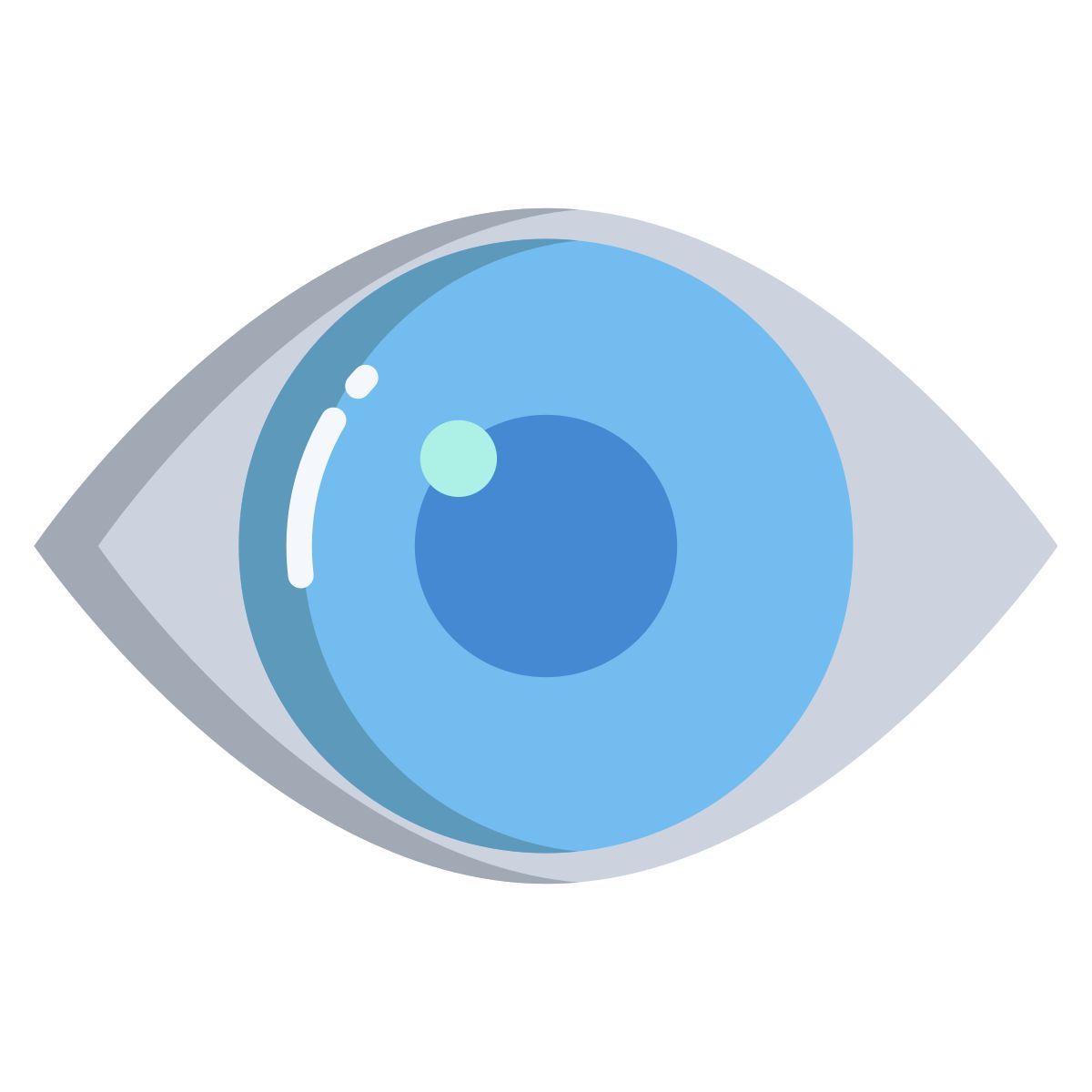 eye icon