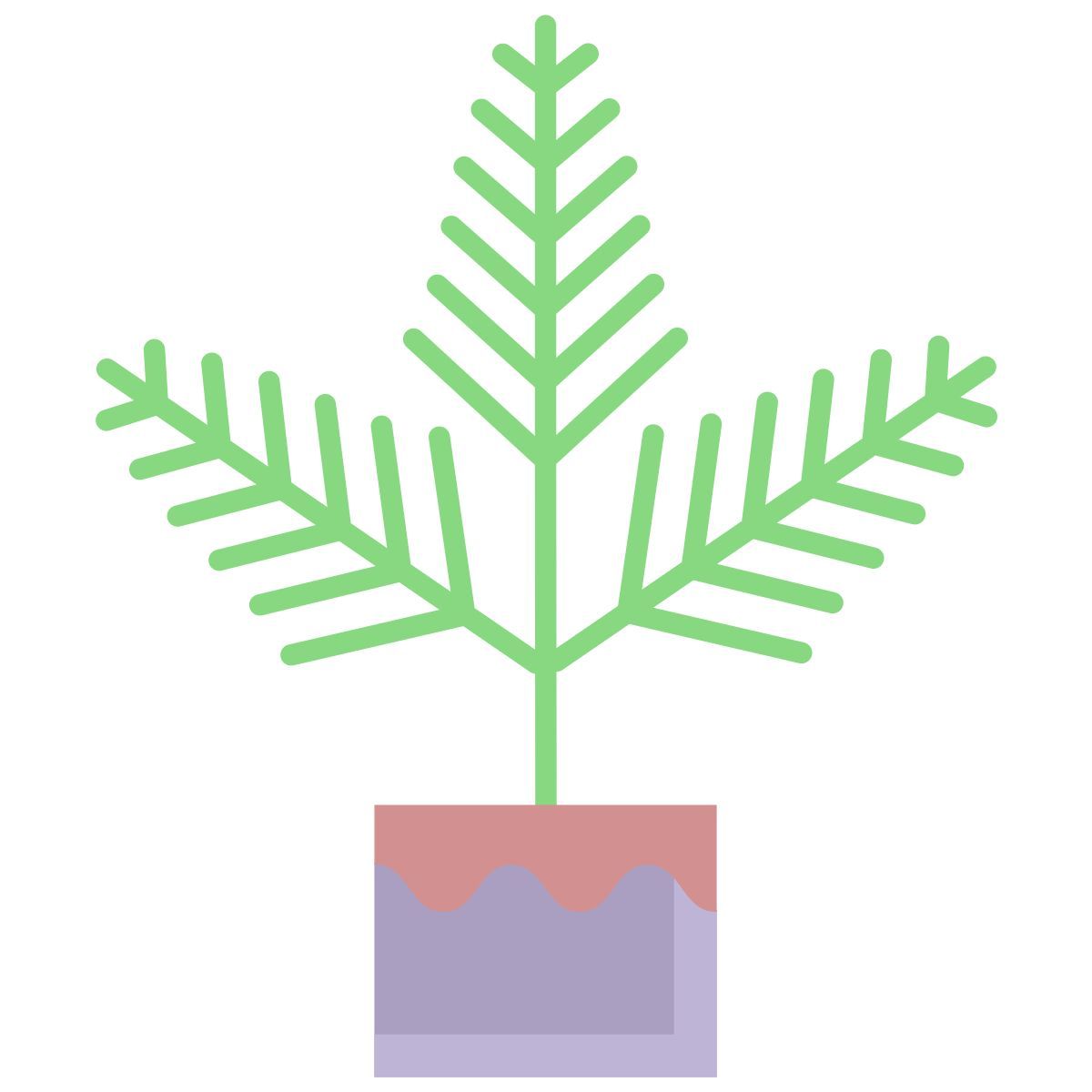 fern icon