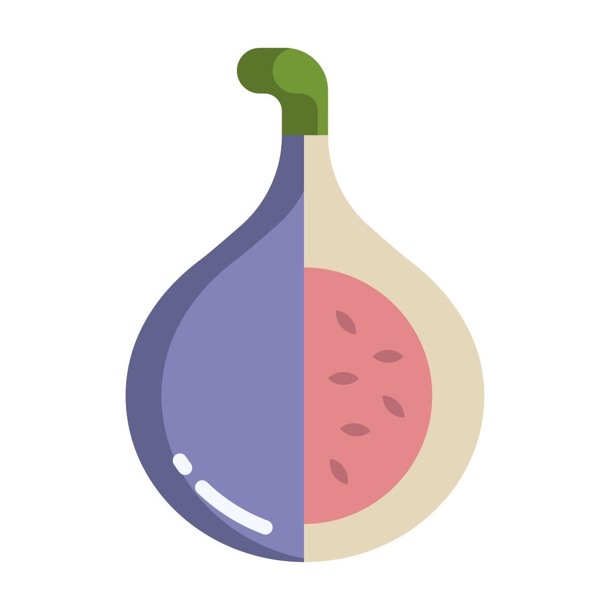 fig icon