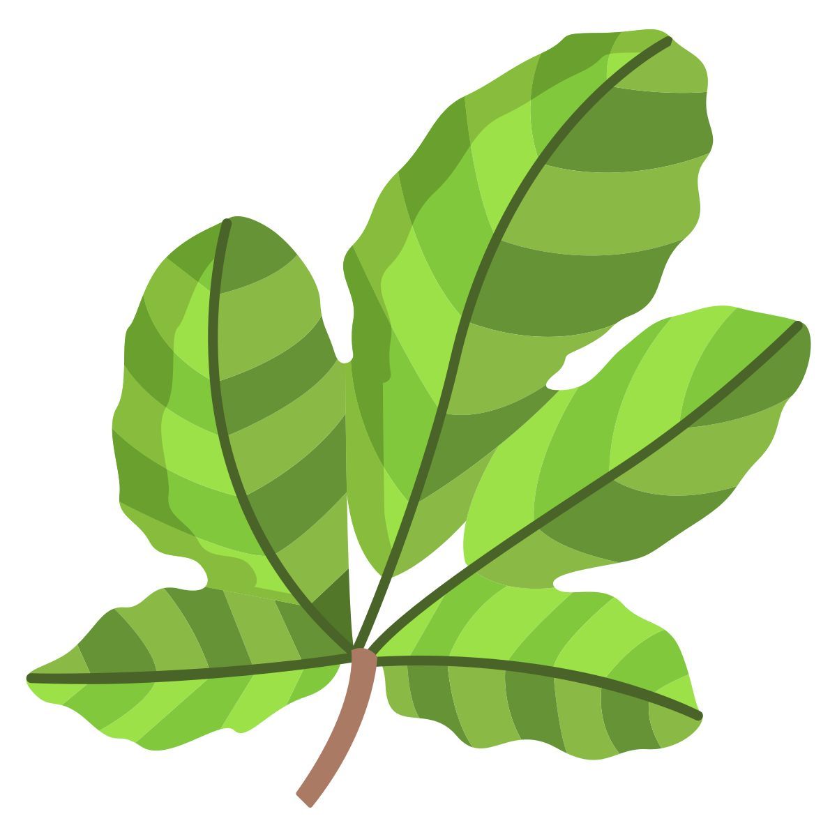 figue icon