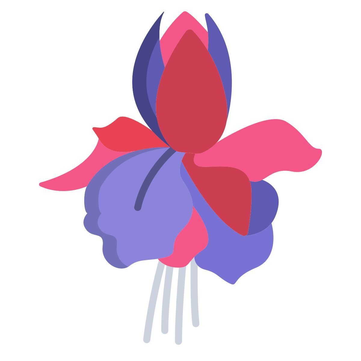 fuchsia icon