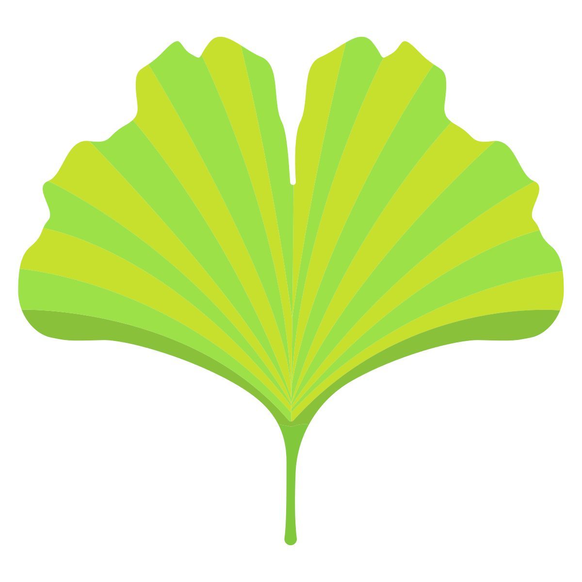 ginkgo icon
