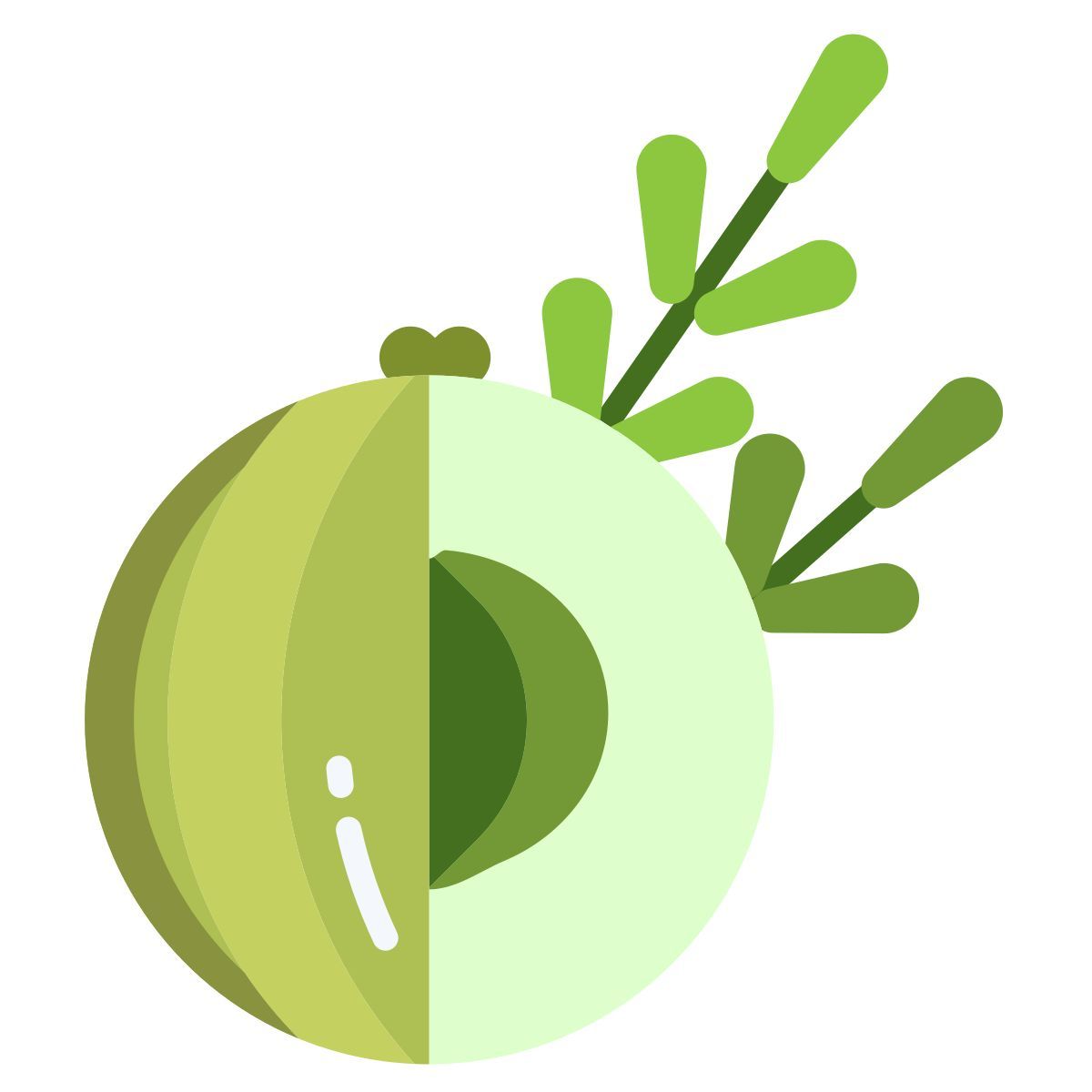 gooseberry icon