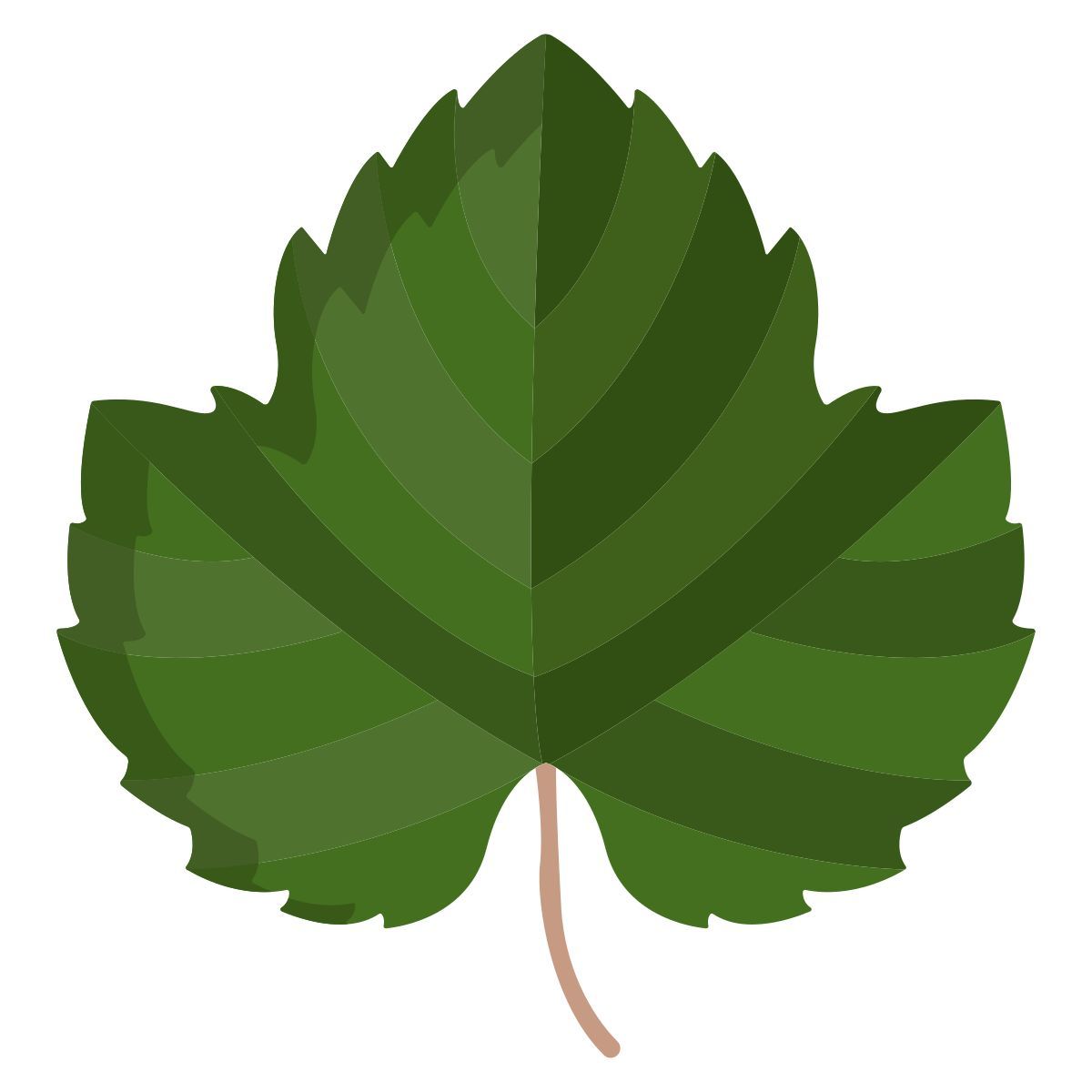 uva icon