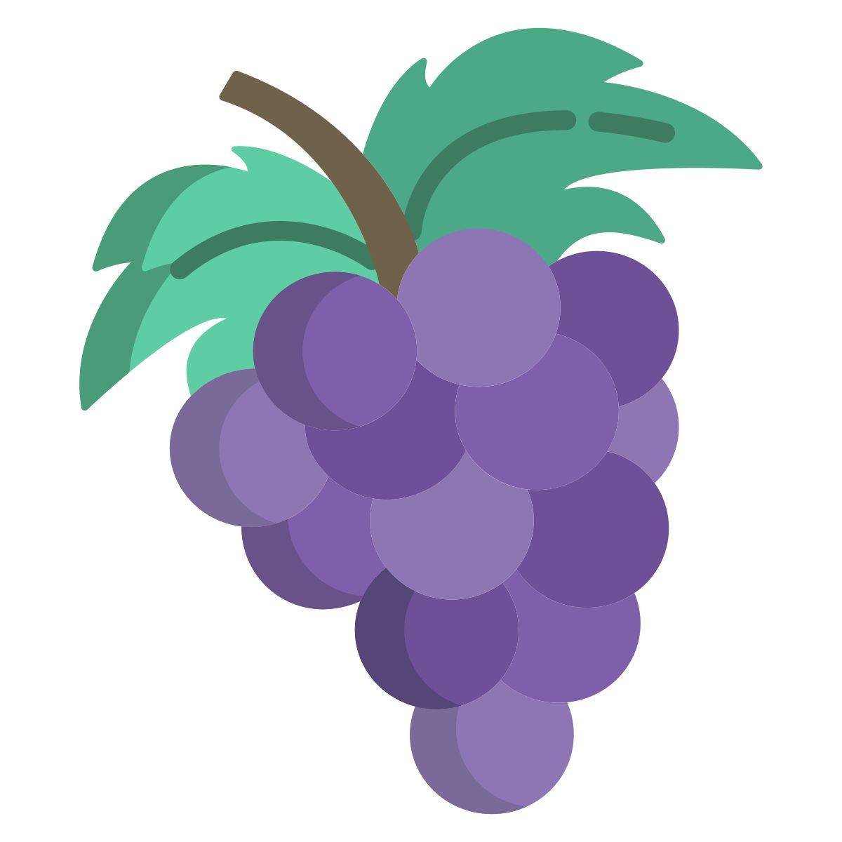 grapes icon