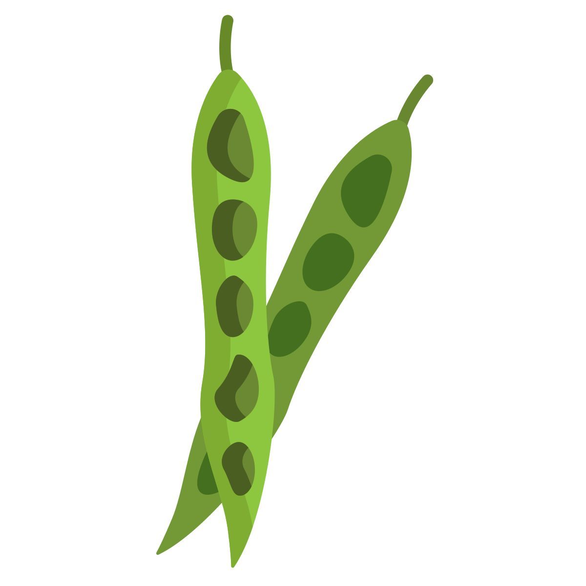 green beans icon