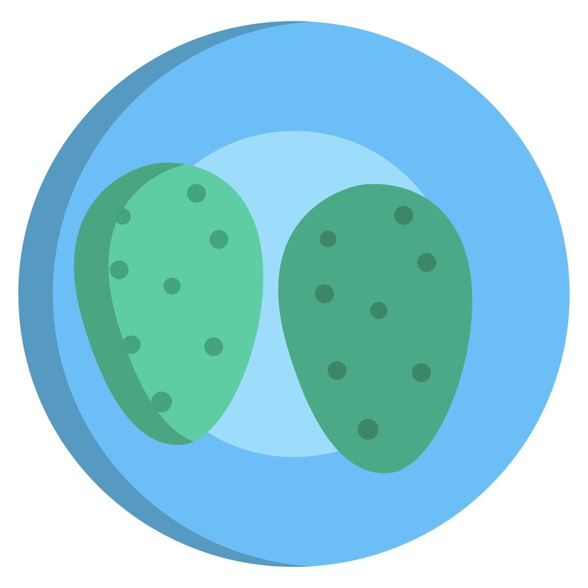 grilled cactus icon