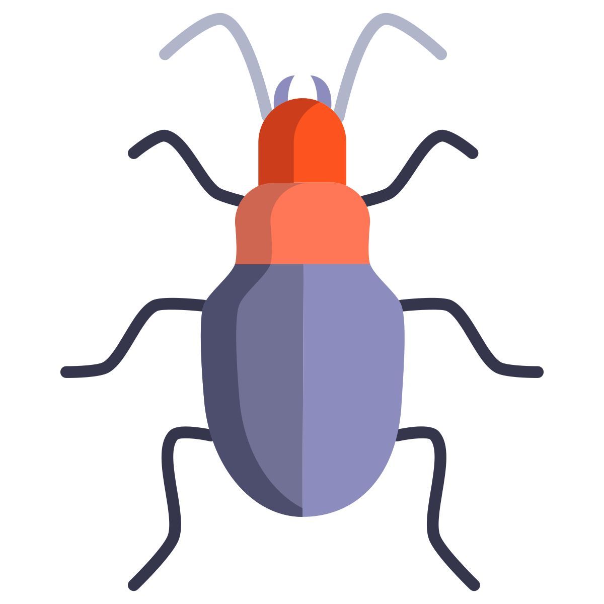 ground beetle icon