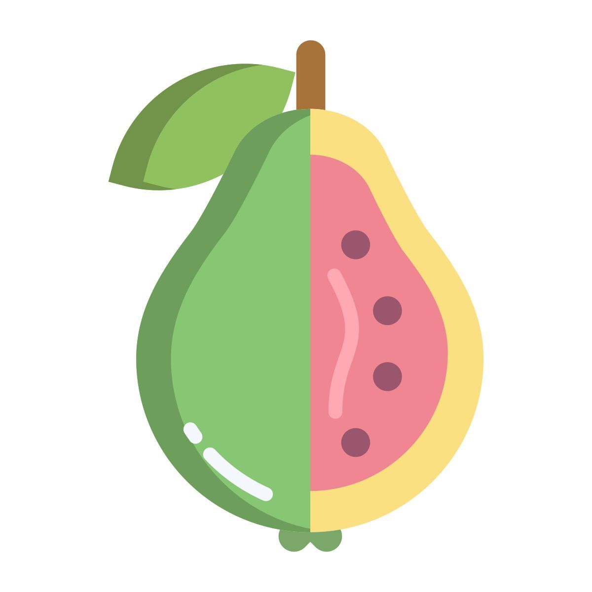 guava icon