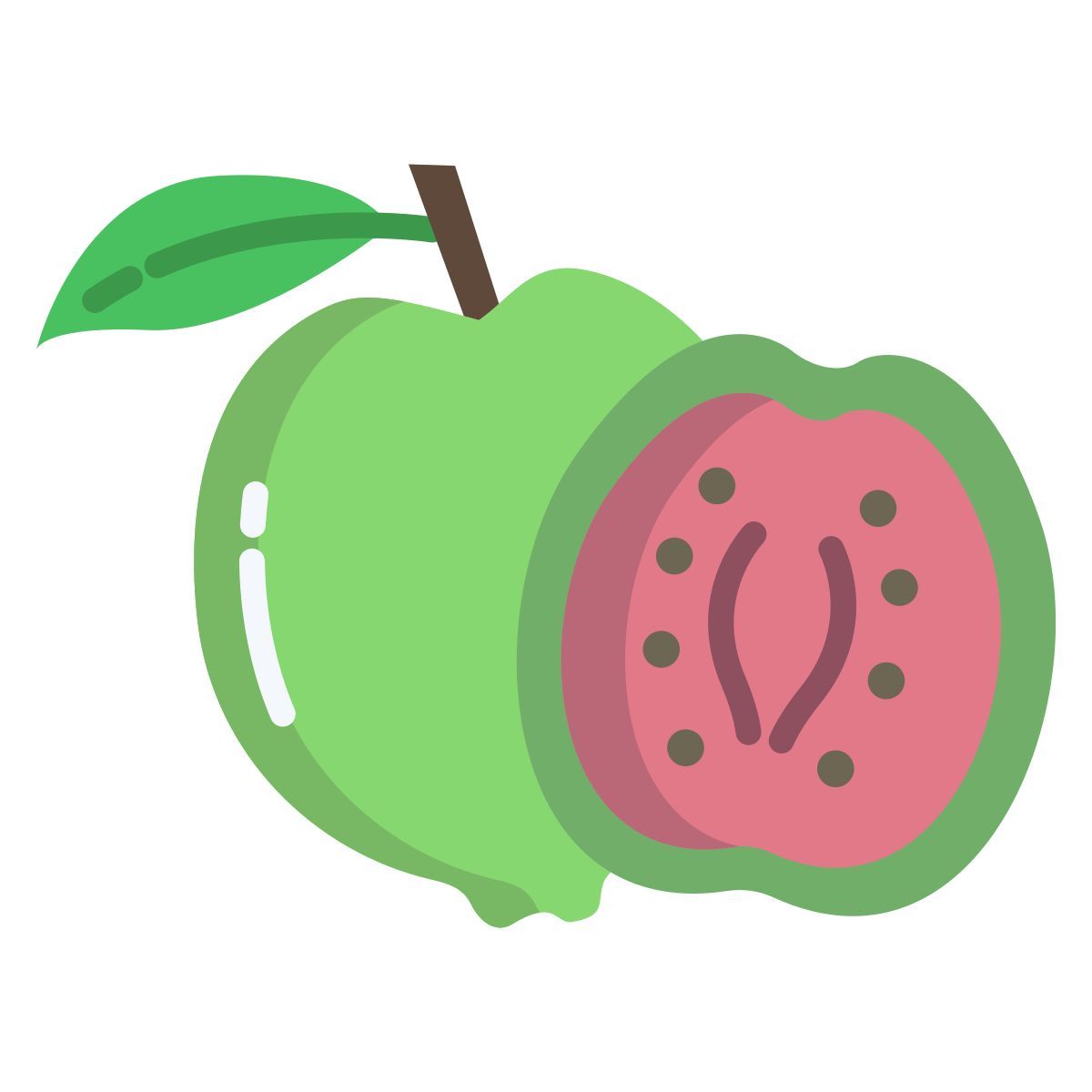 番石榴 icon