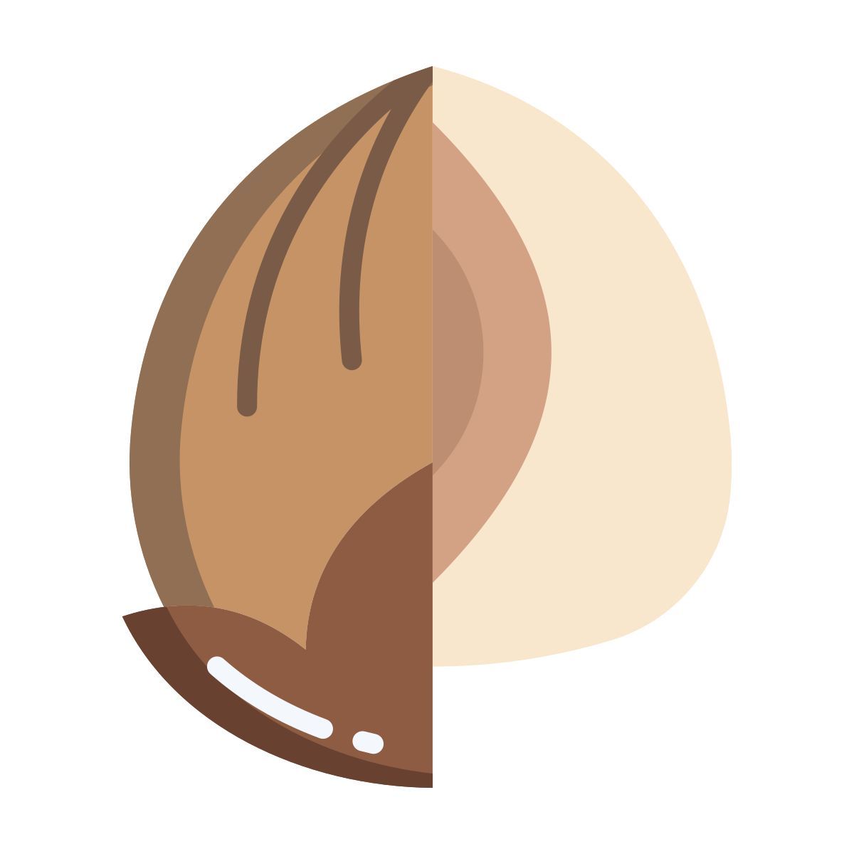 Hazelnut icon