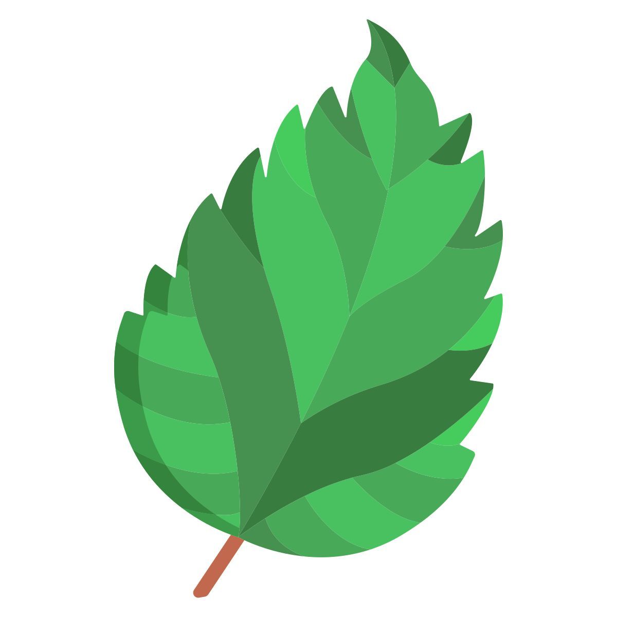 hibiscus icon