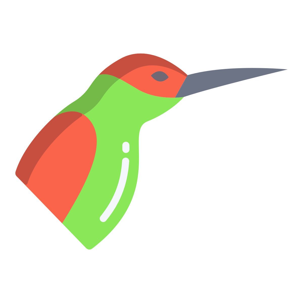 humming bird icon