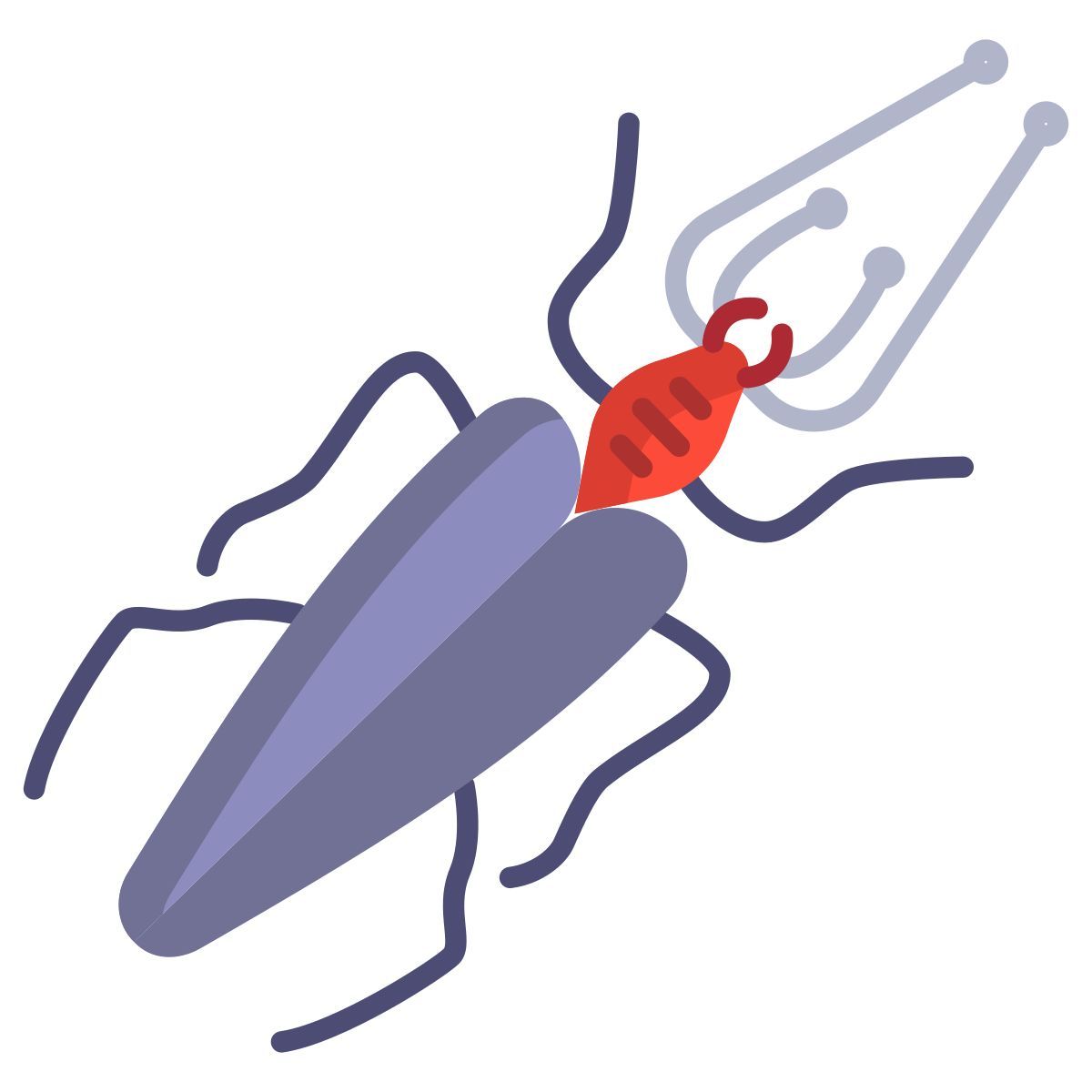 insect icon