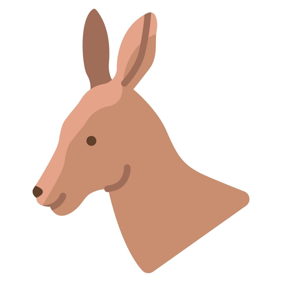 Canguro icon