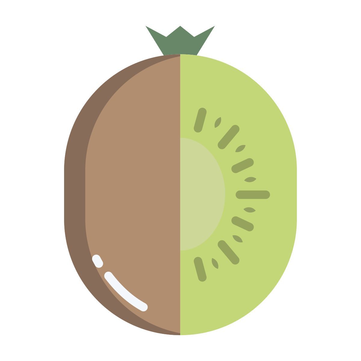 kiwi icon