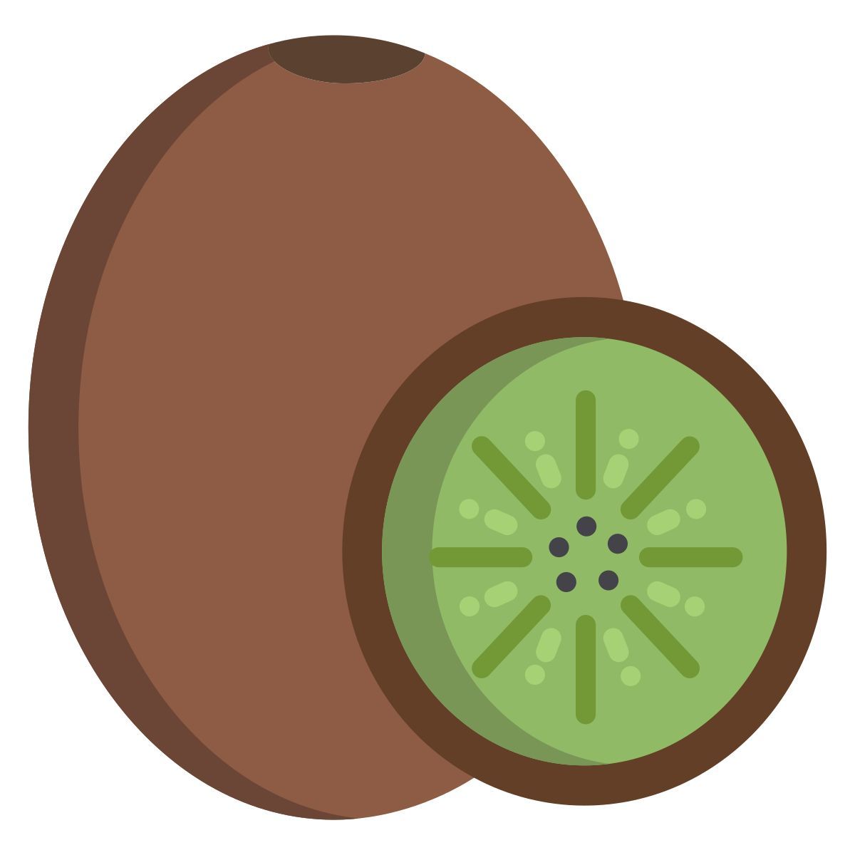 kiwi icon
