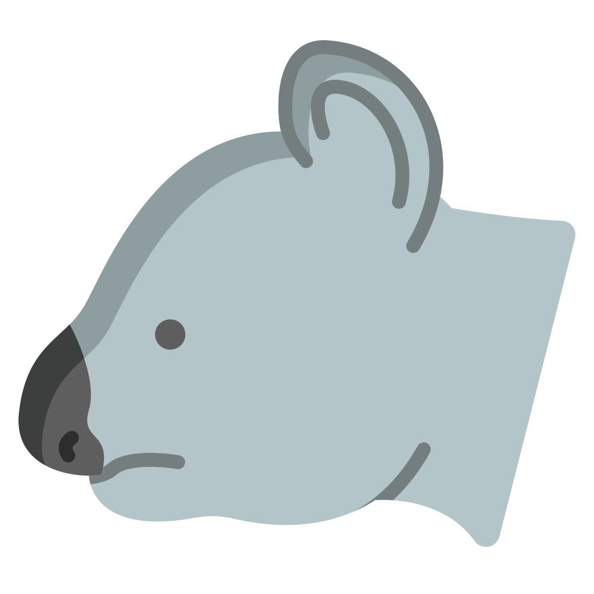 koala icon