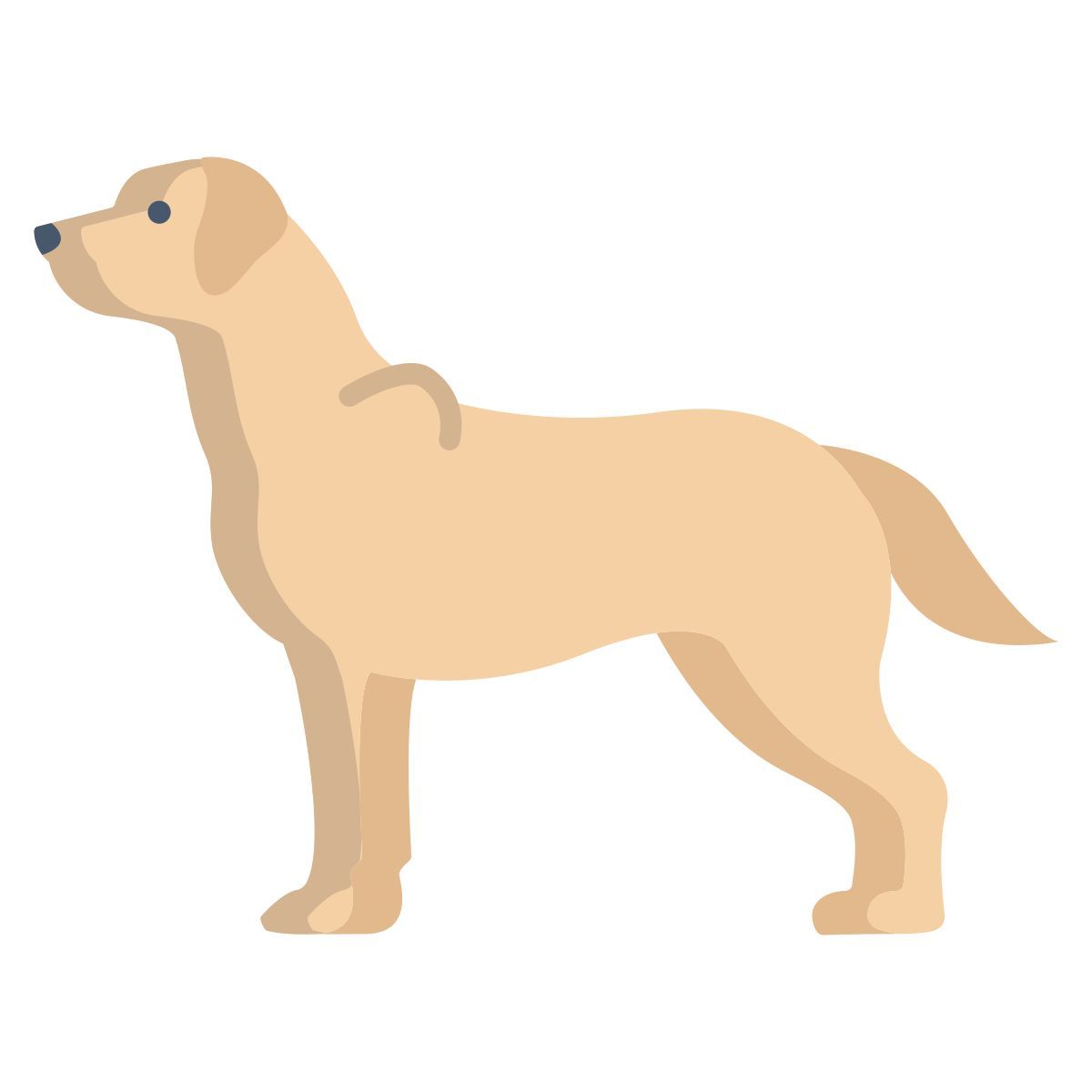 labrador retriever icon