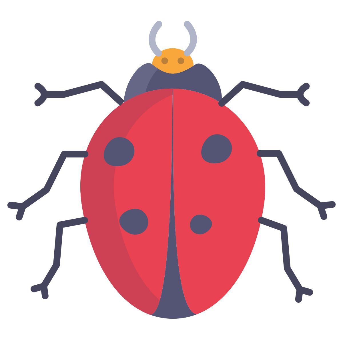 ladybug icon
