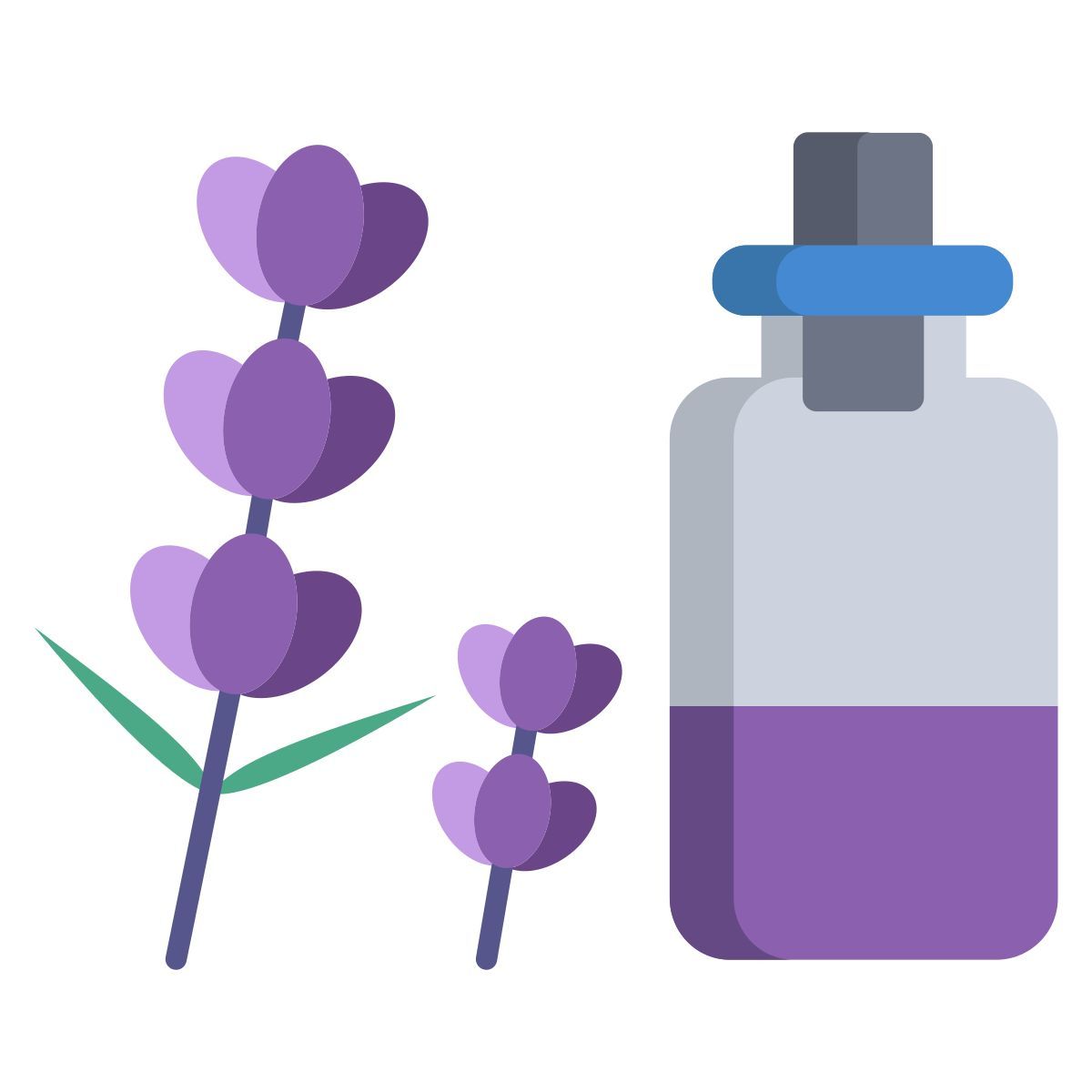 lavanda icon