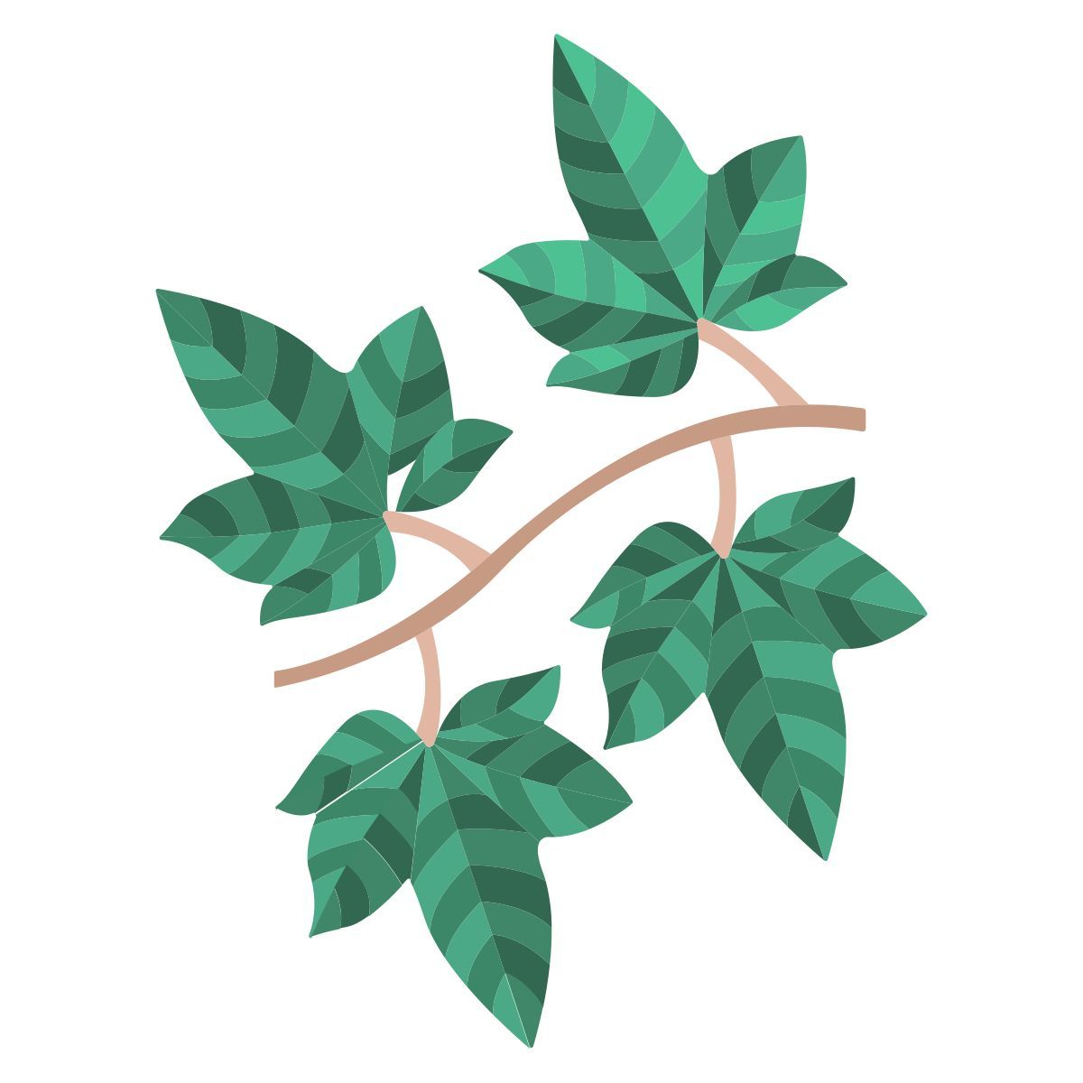 leaf icon