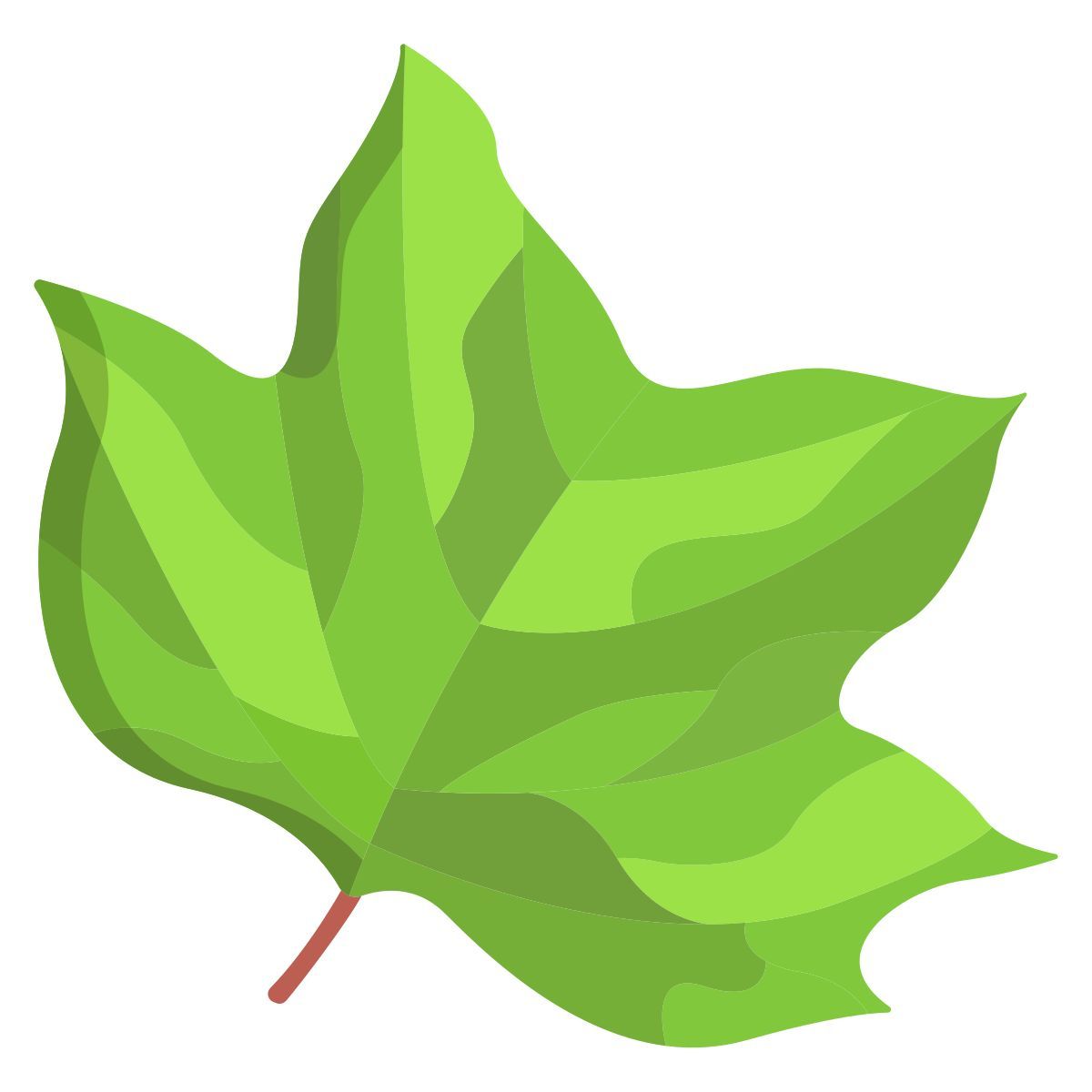 leaf icon