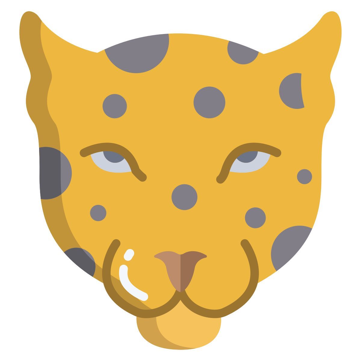 leopard icon