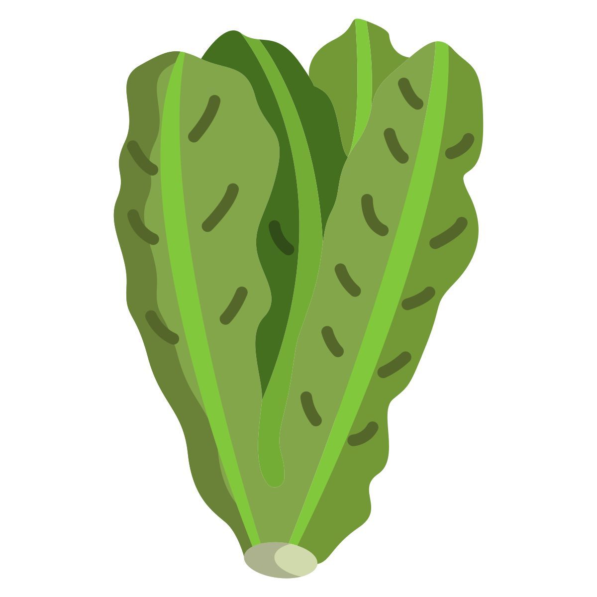 lettuce icon