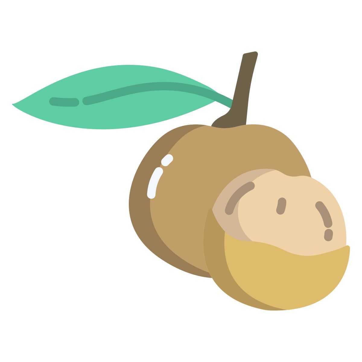 longan icon
