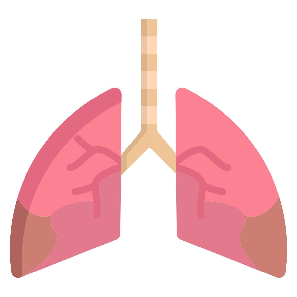 lung icon