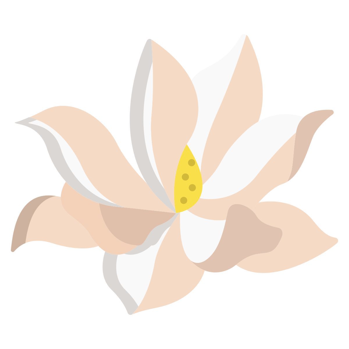 magnolia icon