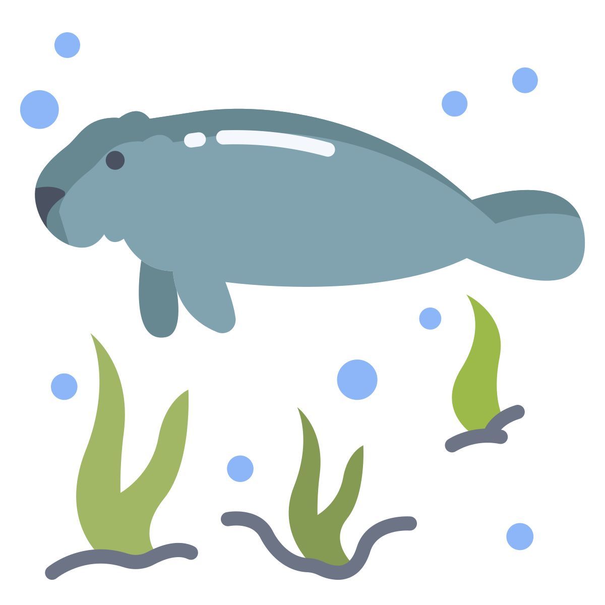 海牛 icon
