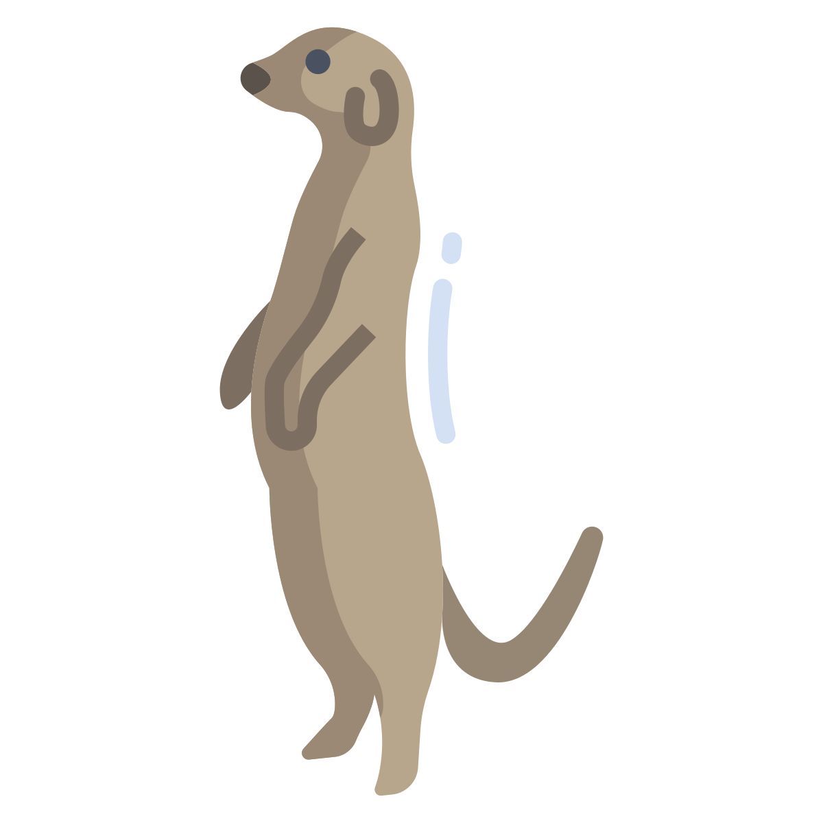 meerkat icon