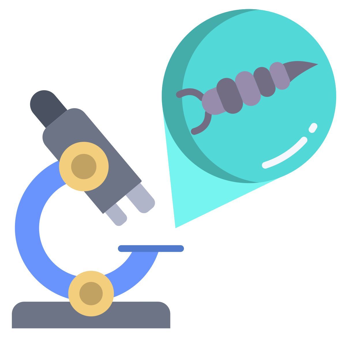 microscope icon