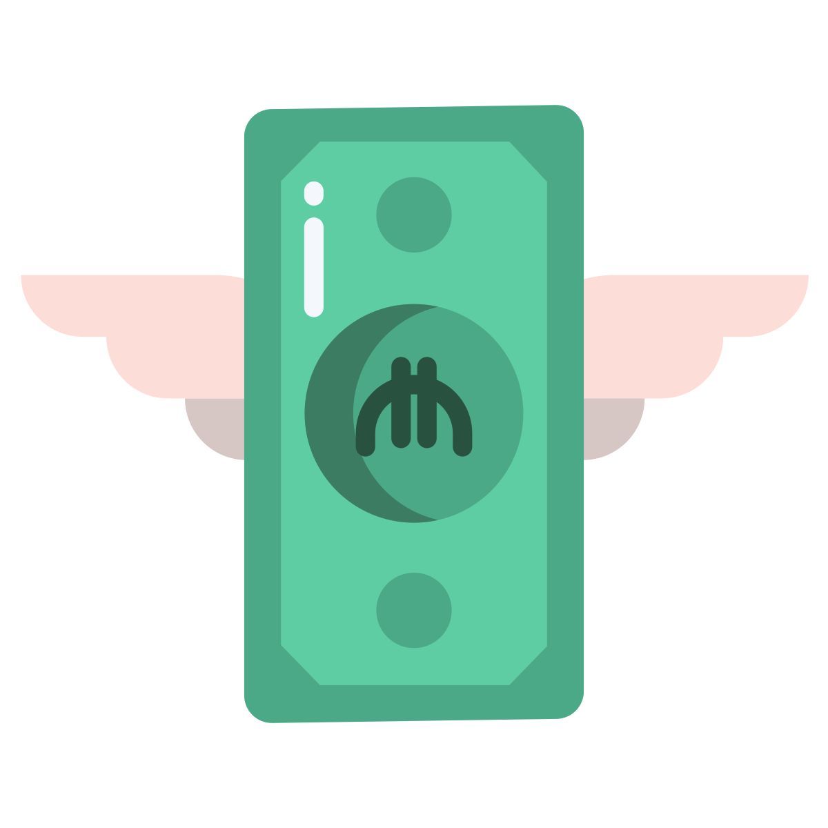 money icon