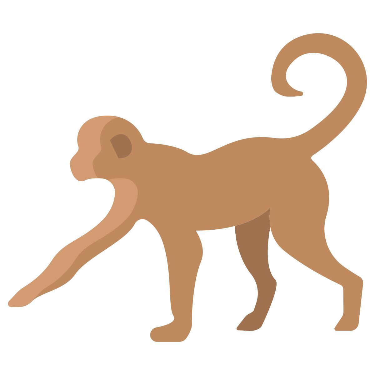 monkey icon