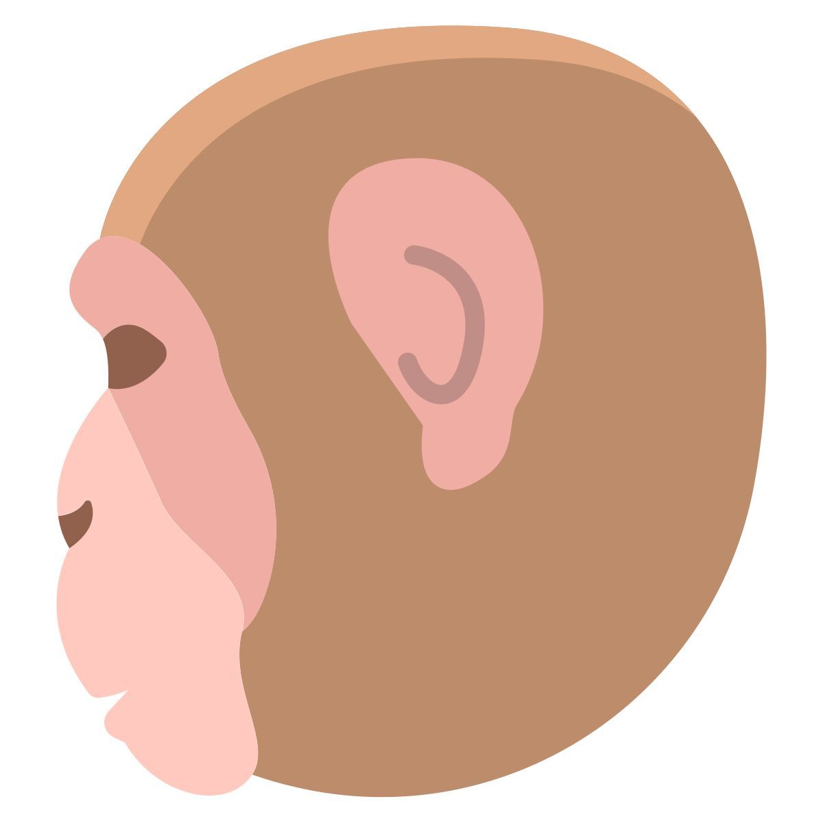 monkey icon