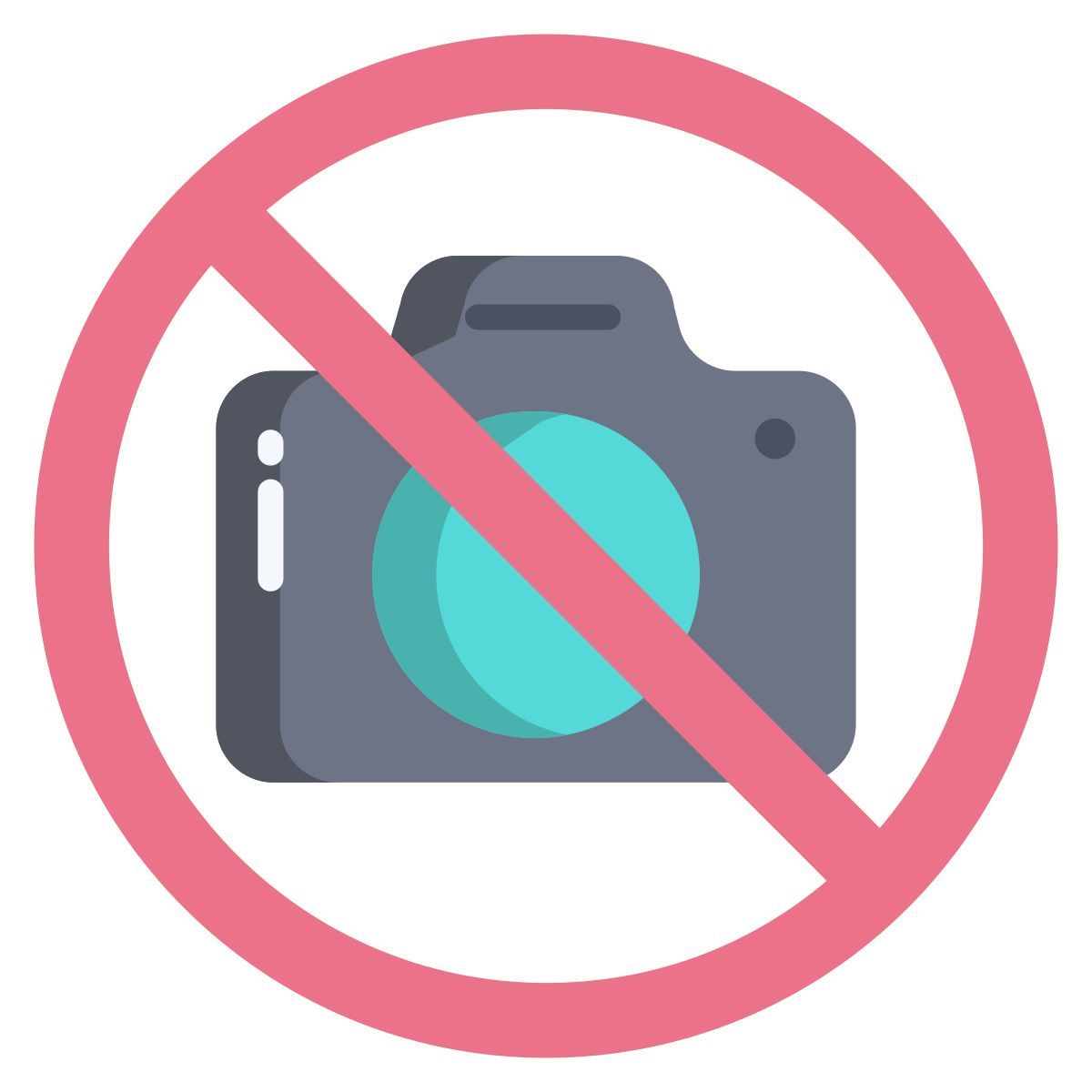 No Photo icon