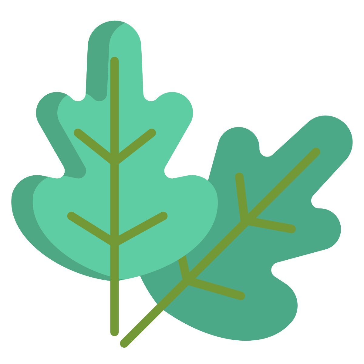 oak leaf icon