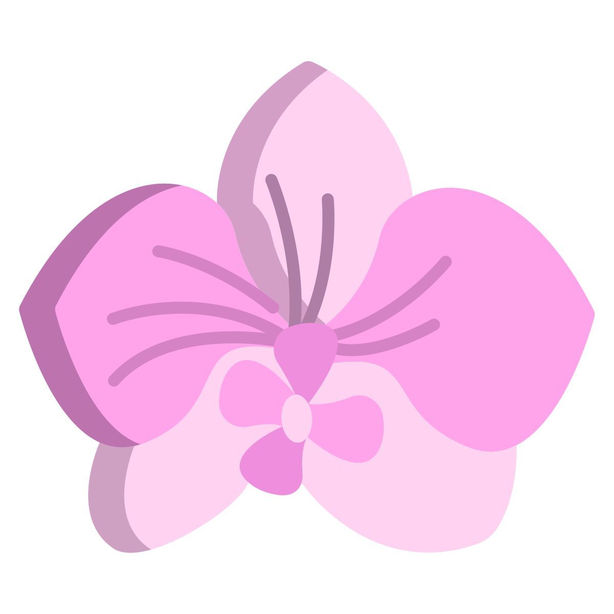 orchidee icon
