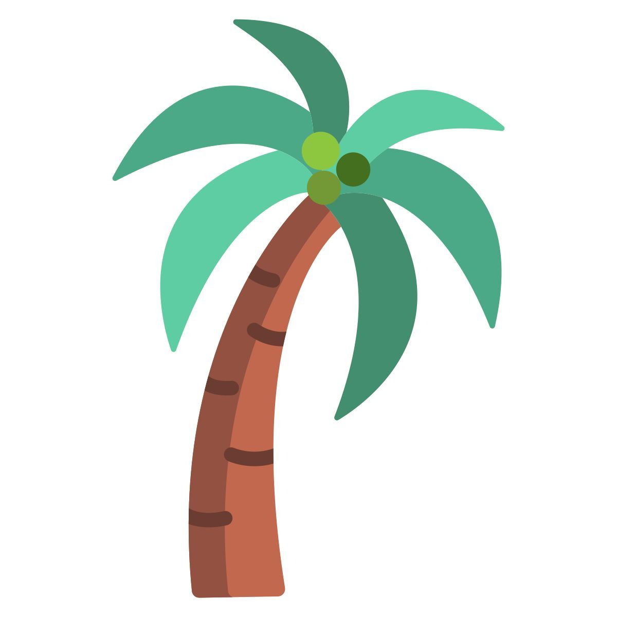 palm tree icon