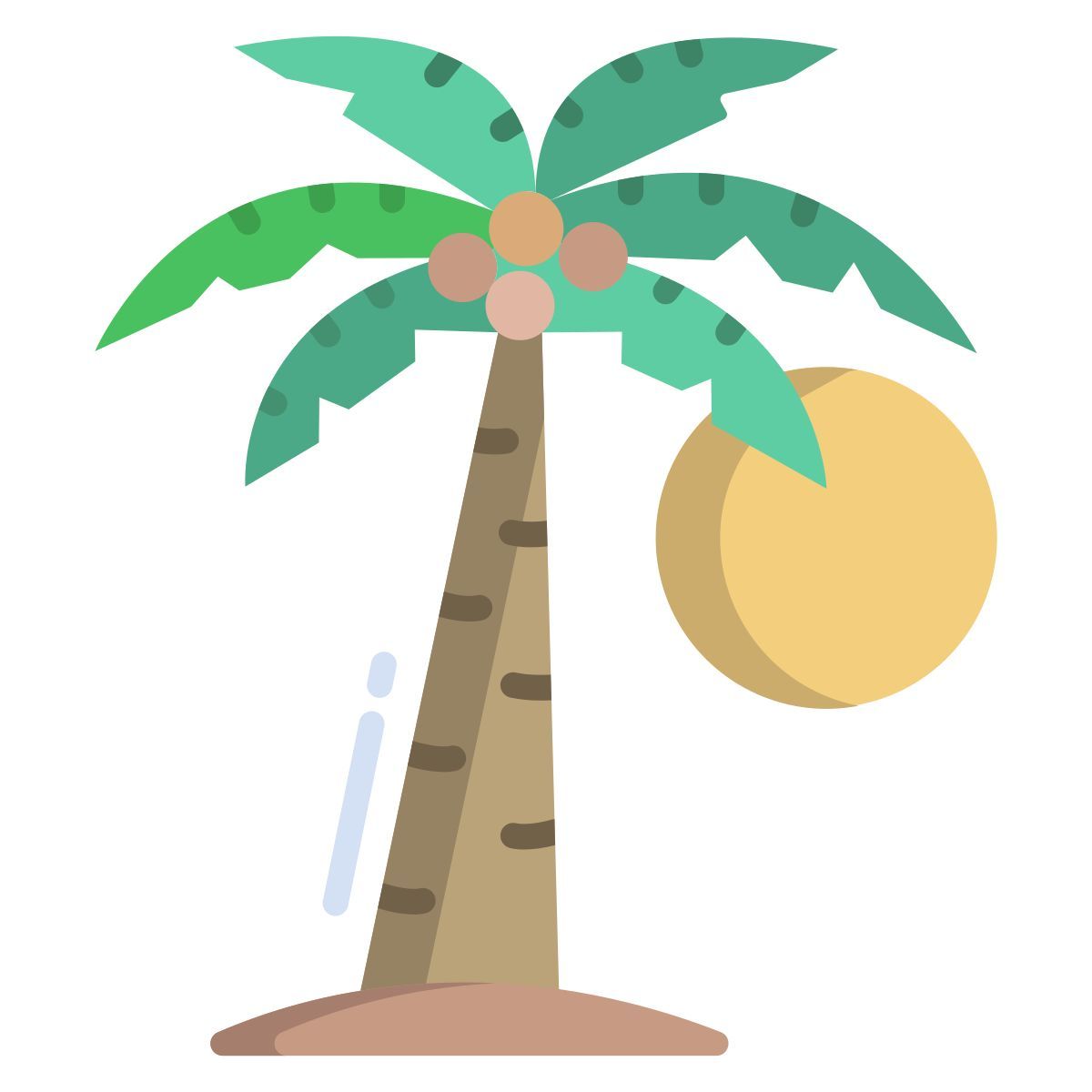 palm tree icon