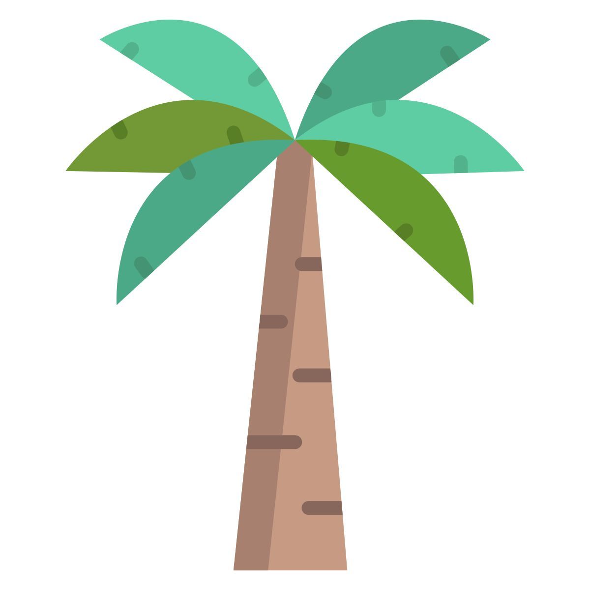 palm tree icon