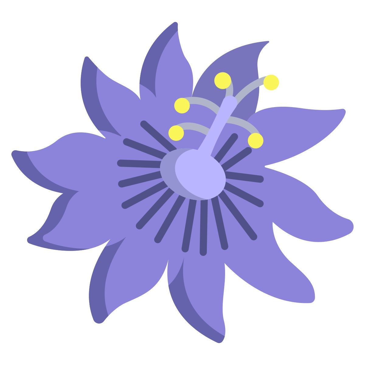 paixão icon