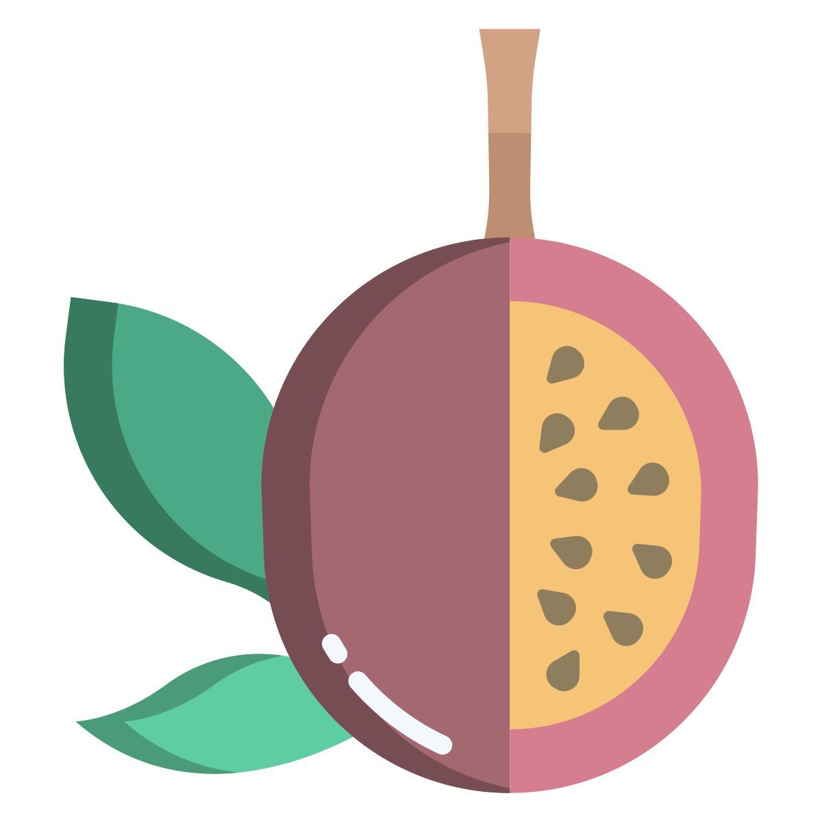 passion fruit icon