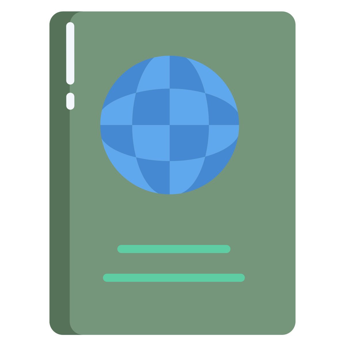 passport icon