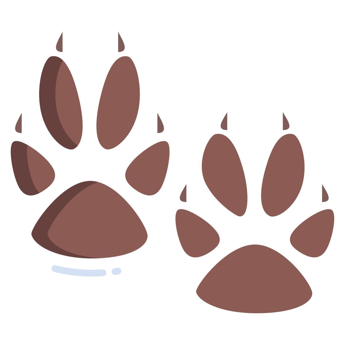 paw icon