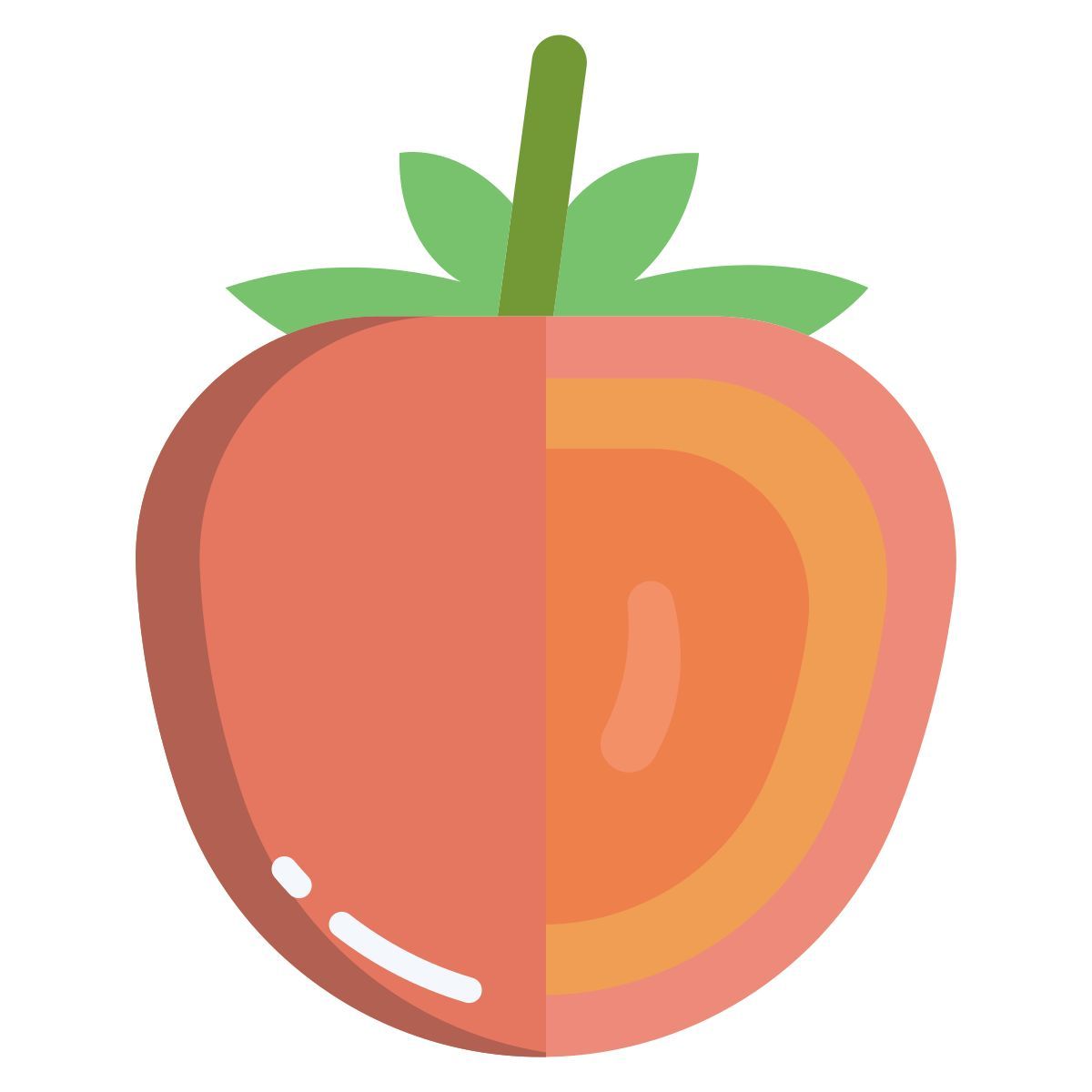 persimmon icon