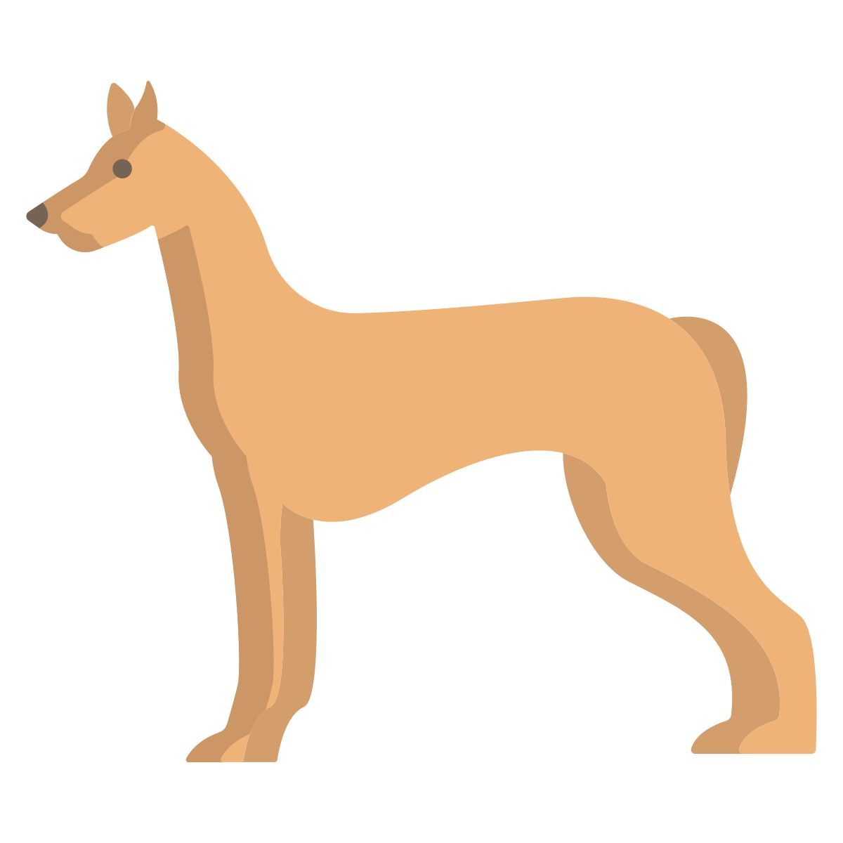pharaoh hound icon